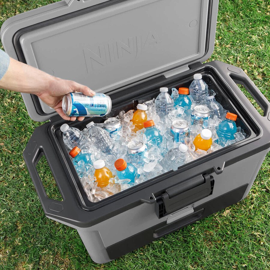 ninja frostvault 50qt47l twarda lodówka turystyczna - szara łupkowa fb151ukgy