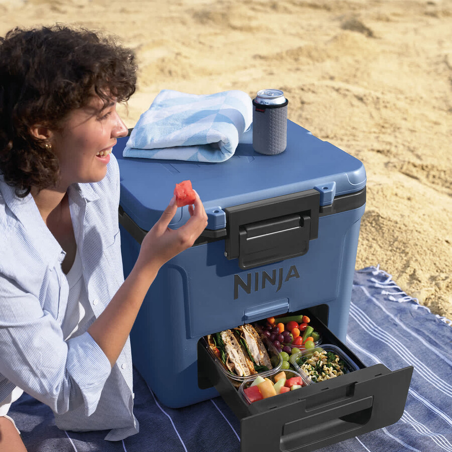 lodówka turystyczna ninja frostvault 30qt28l z suchą strefą lakeshore blue fb230ukbl