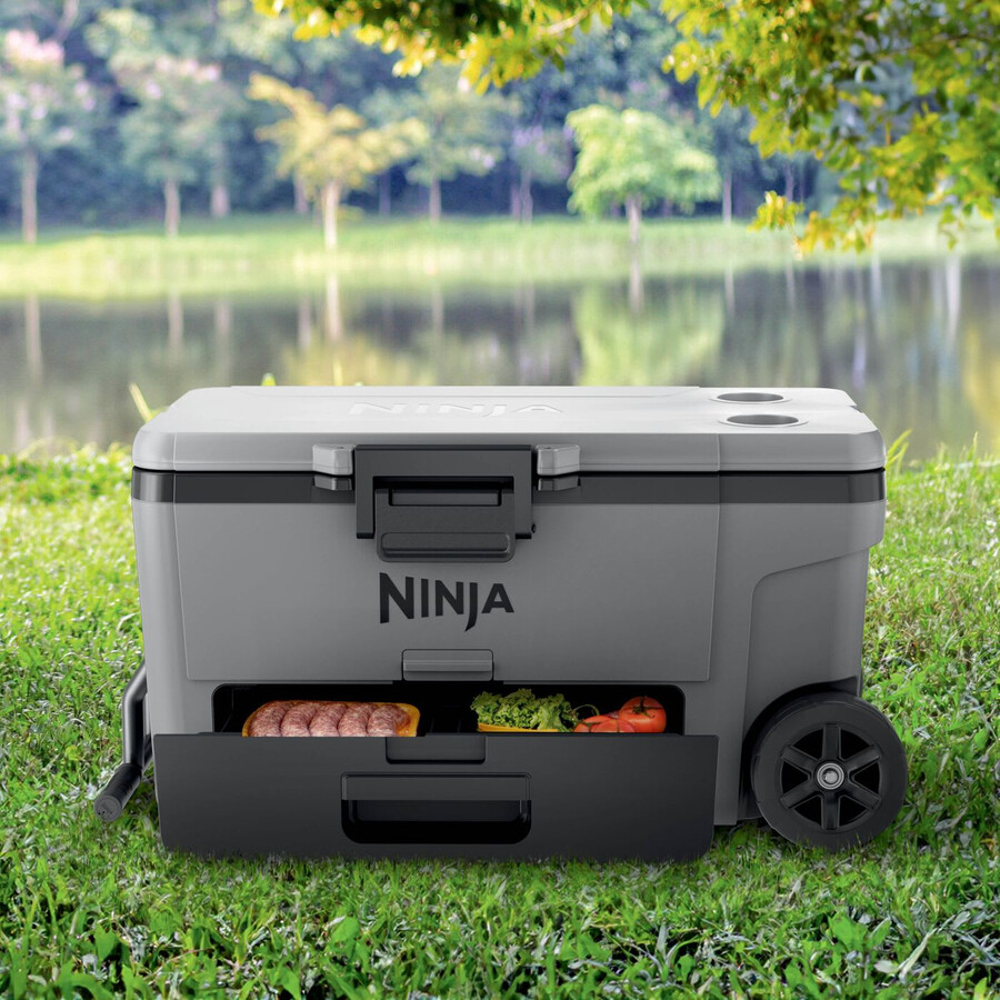 lodówka turystyczna ninja frostvault 65qt61l z suchą strefą szara łupkowa fb265euukgy